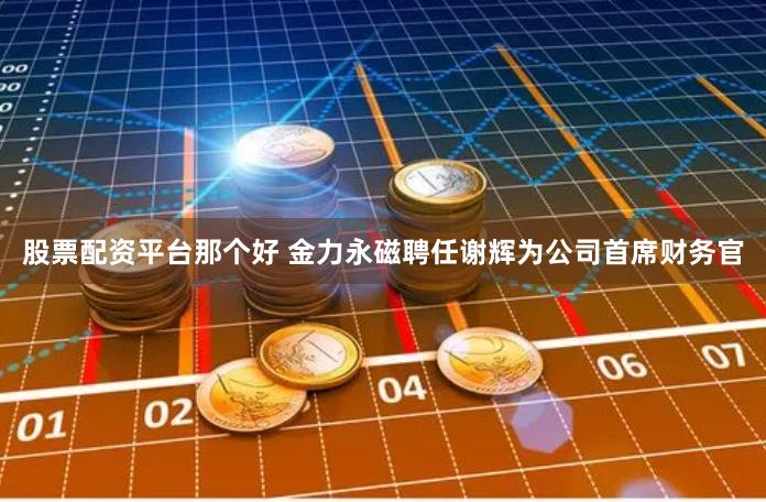 股票配资平台那个好 金力永磁聘任谢辉为公司首席财务官