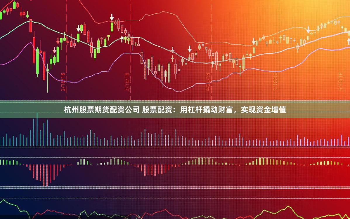 杭州股票期货配资公司 股票配资：用杠杆撬动财富，实现资金增值